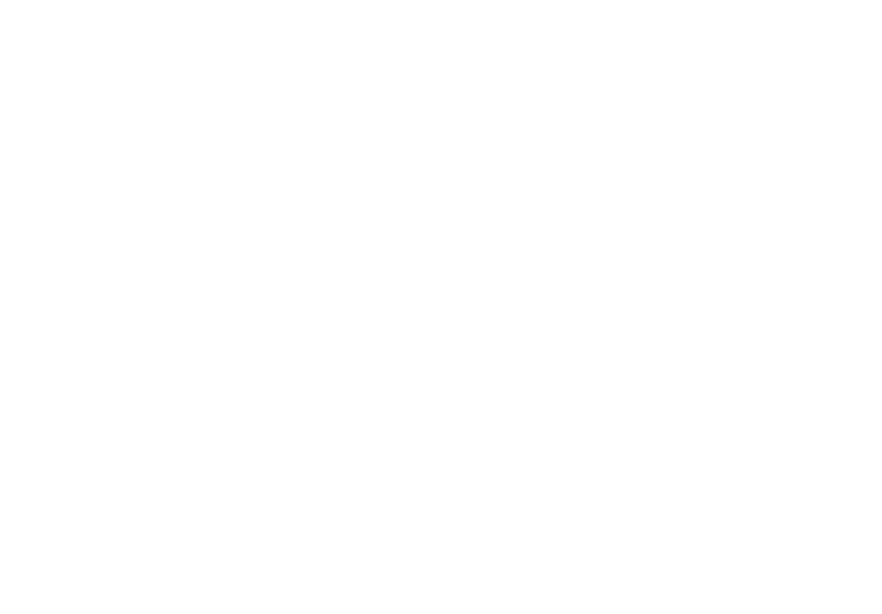 EAGLE WARRIOR