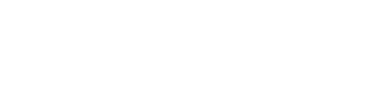 WESTERN DIGITAL