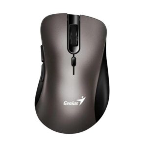 MOUSE GENIUS RS2 ERGO 8100S INALÁMBRICO CON RECEPTOR 1200 DPI 31030040402 CHAMPAGNE