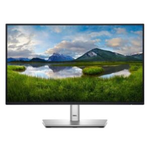 MONITOR DELL P2425HE 23.8'' FHD 100HZ IPS CON CONCENTRADOR USB-C HDMI / DP / RJ45 NEGRO